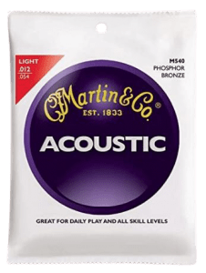 Martin Acoustic Guitar Body M540