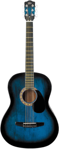 Rogue Starter Acoustic Guitar