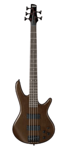 Ibanez gsr205 5-string bass