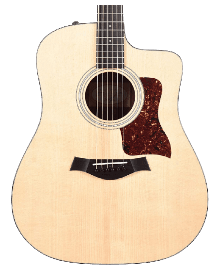 Taylor 210ce plus Acoustic Guitar
