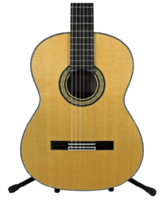 Takamine H8SS Classical Nylon String Acoustic Guitar