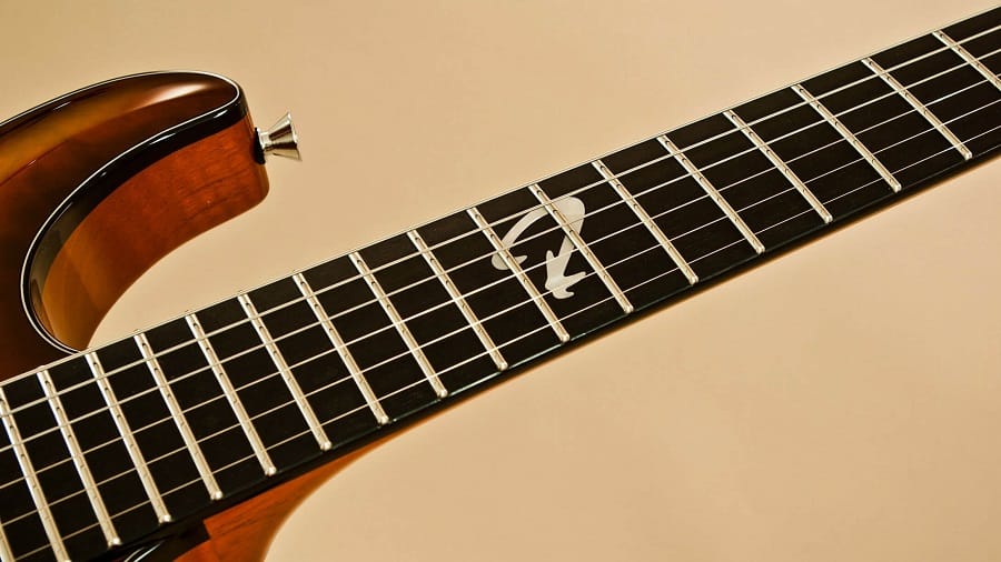 Ebony wood guitar